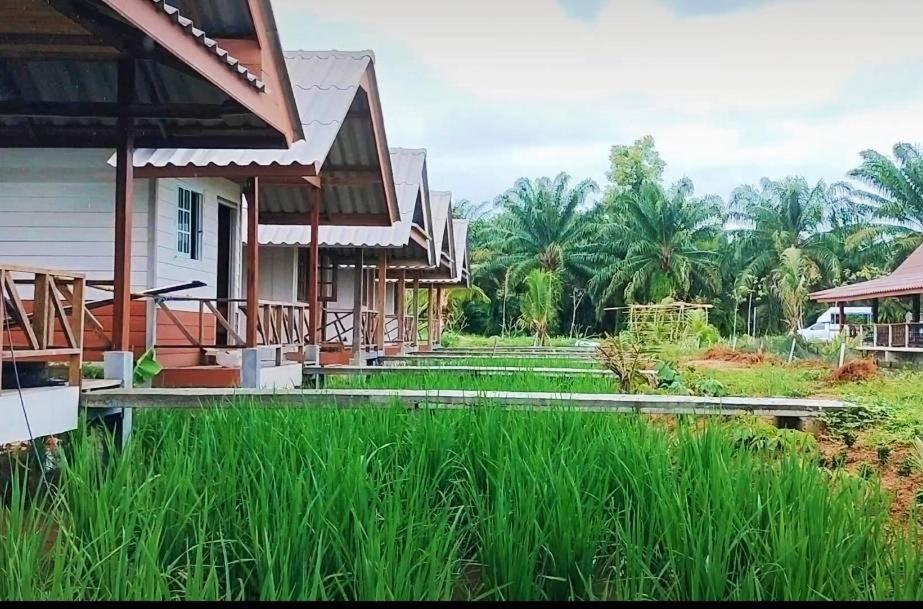 ปารมีฟาร์มสเตย์ Takuapa Luaran gambar